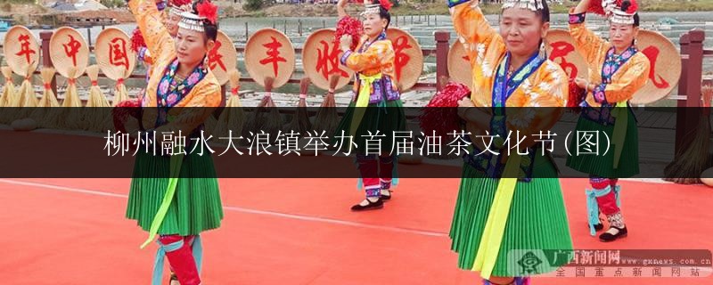 柳州融水大浪镇举办首届油茶文化节(图)